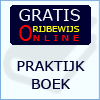 Praktijkboek